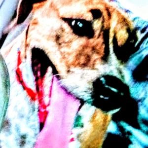 Meet your Posher, Tori